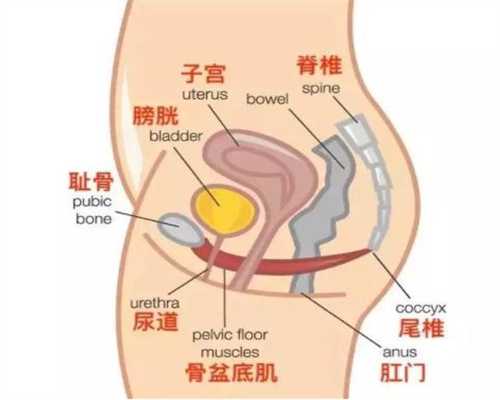 rh阴性血北京代孕有影响吗