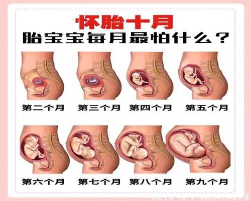 代孕多久能测出来5北京代孕上门洽谈
