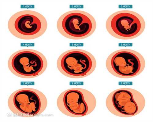 怀孕期间看准妈妈肚子形状分辨男女准确吗？
