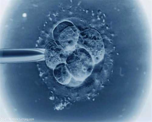 送子代孕网-代孕网怎么样-合法代孕哪里做得好