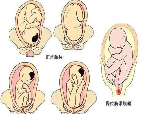 12步看懂试管婴儿全流程，不用在担心不知道怎么做了！