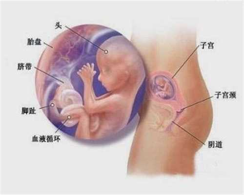 广州借卵试管过程,广州能做供卵试管婴儿的公立医院有几家？