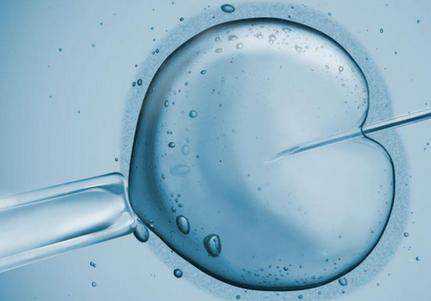 2022青岛哪里能利用供卵试管技术助孕生子