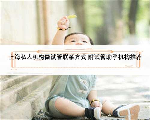上海私人机构做试管联系方式,附试管助孕机构推荐
