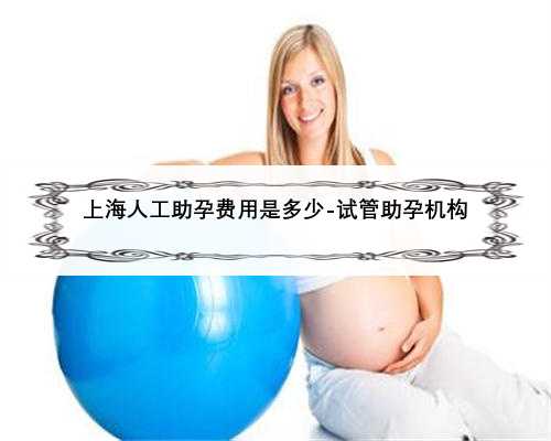 上海人工助孕费用是多少-试管助孕机构